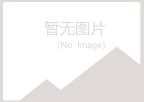 锡林郭勒山柳能源有限公司